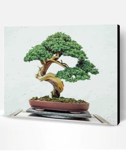 Aesthetic Bonsai Tree Paint By Number