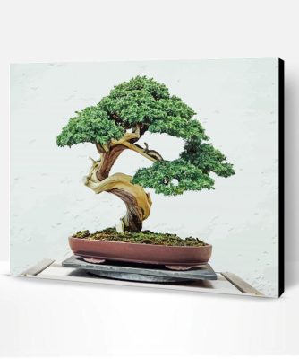 Aesthetic Bonsai Tree Paint By Number