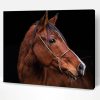Aesthetic Brown Horse Head Animal Paint By Number