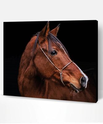 Aesthetic Brown Horse Head Animal Paint By Number