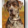 Aesthetic Catahoula Paint By Number