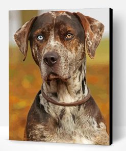 Aesthetic Catahoula Paint By Number