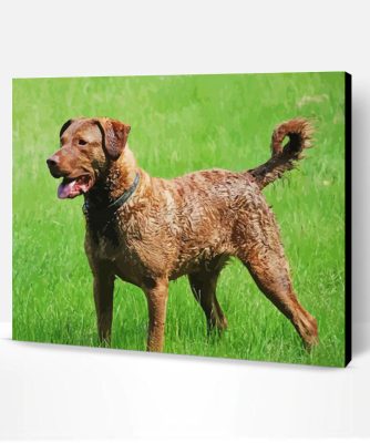 Aesthetic Chesapeake Bay Retriever Paint By Numbers