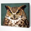 Aesthetic Horned Owl Bird Paint By Number