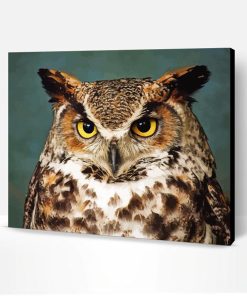 Aesthetic Horned Owl Bird Paint By Number
