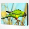 Aesthetic Nanday Conure Parrot Paint By Number