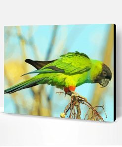 Aesthetic Nanday Conure Parrot Paint By Number
