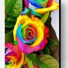 Aesthetic Rainbow Rose Illustration Paint By Number