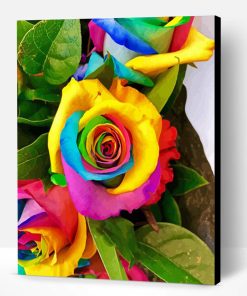 Aesthetic Rainbow Rose Illustration Paint By Number