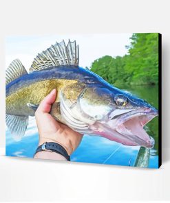 Aesthetic Walleye Paint By Numbers