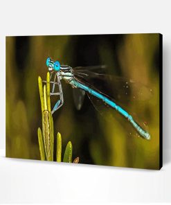 Aesthetic Damsel Fly Paint By Number