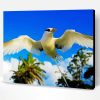 Aesthetic Flying Tropic Sea Bird Paint By Numbers