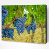Aesthetic Grapevines Paint By Number