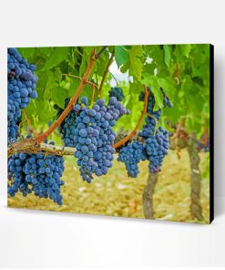 Aesthetic Grapevines Paint By Number