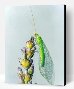 Aesthetic Lacewing Insect Art Paint By Number