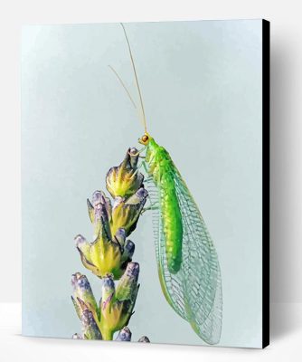 Aesthetic Lacewing Insect Art Paint By Number