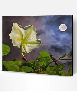 Aesthetic Moon Flower Art Paint By Number