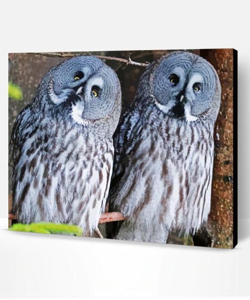 Aesthetic Owl Couple Paint By Numbers