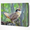 Aesthetic Ruffed Grouse Bird Animal Paint By Number