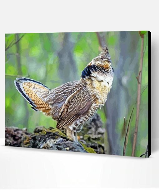 Aesthetic Ruffed Grouse Bird Animal Paint By Number