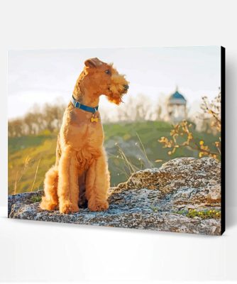 Airedale Sitting Paint By Number