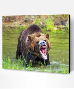 Angry Bear In Water Paint By Number