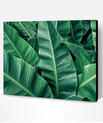 Banana Leaves Paint By Number