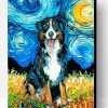 Bernese Starry Night Paint By Numbers