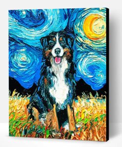 Bernese Starry Night Paint By Numbers