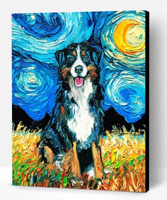 Bernese Starry Night Paint By Numbers