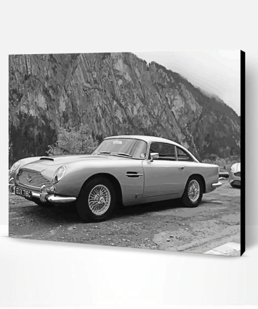 Black And White Aston Martin Cars Paint By Numbers