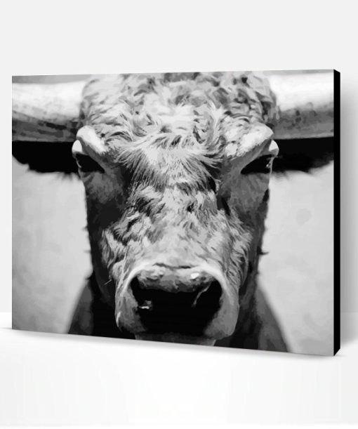 Black And White Bull Head Paint By Number