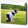 Black And White Cat In Field Paint By Number