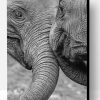 Black And White Elephant Greeting Paint By Number