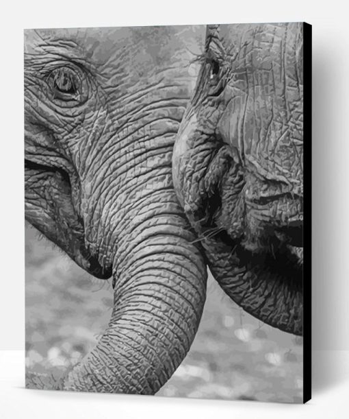 Black And White Elephant Greeting Paint By Number