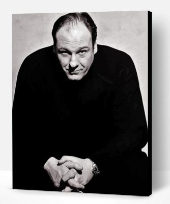 Black And White James Joseph Gandolfini Jr Paint By Numbers