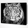 Black And White Tiger Look Paint By Number