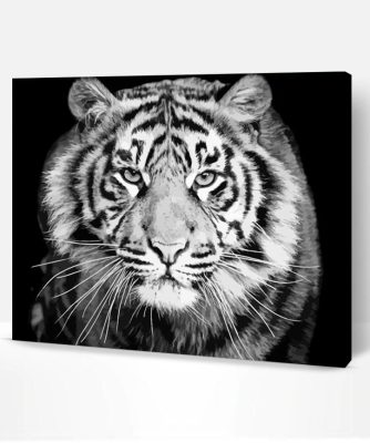 Black And White Tiger Look Paint By Number