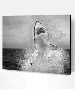 Black And White Jumping Shark Paint By Number