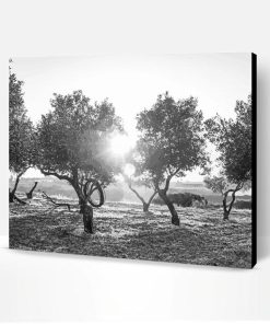 Black And White Olive Trees Paint By Number