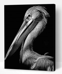 Black And White Pelican Paint By Number