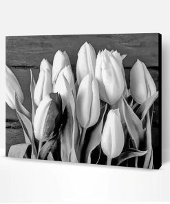 Black And White Tulip Paint By Number