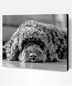 Black Cavoodle Dog Paint By Numbers