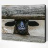 Black Head Sheep Paint By Number