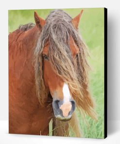 Brown Sable Island Horse Paint By Number