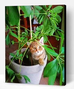 Cat Sitting On Potted Plant Paint By Number