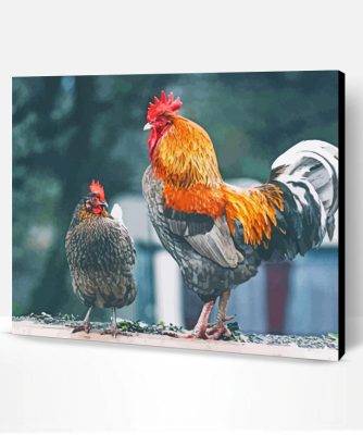 Chicken And Rooster Paint By Numbers