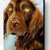 Chocolate Brown Field Spaniel Dog Art Paint By Number