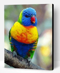 Colorful Green Cheek Bird Paint By Numbers