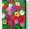 Colorful Flowers Verbena Paint By Numbers